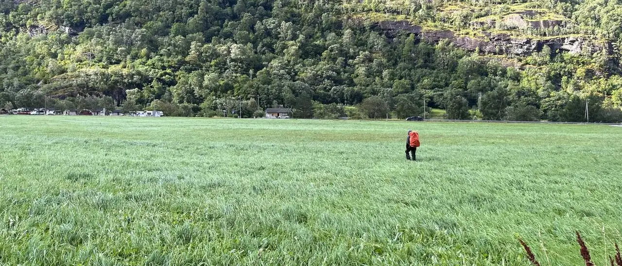A single figure in an orange jacket crossing a wide green meadow below a forested mountainside
