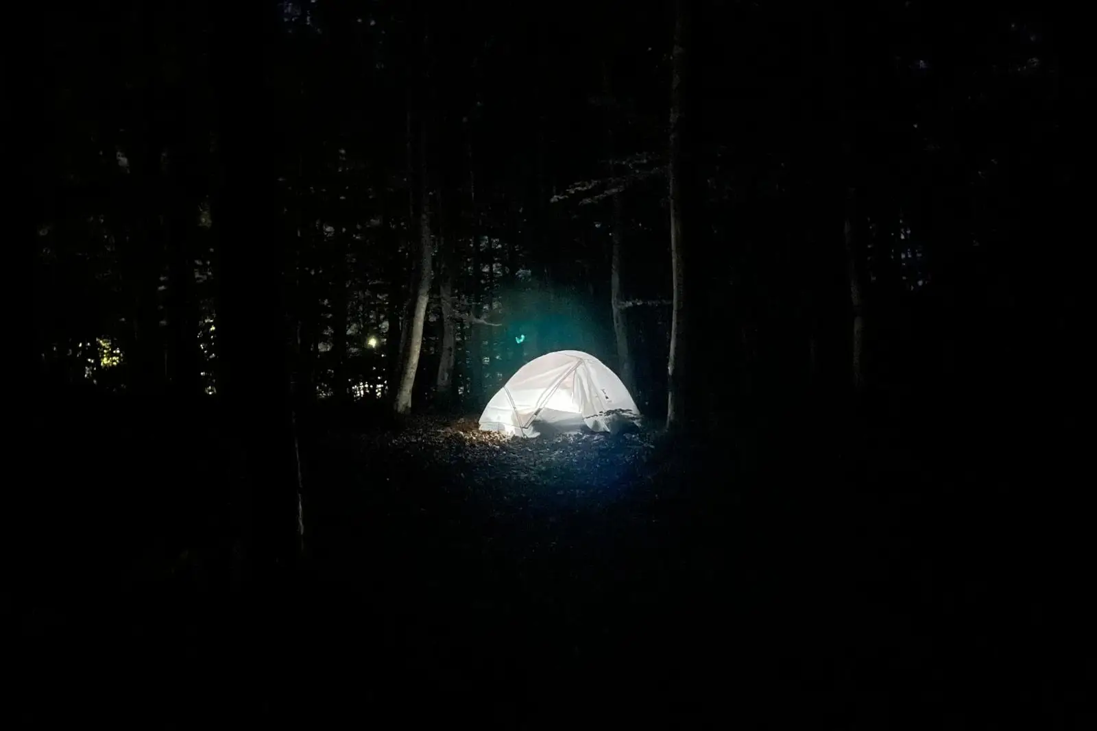 A tent glowing in dark woods at night